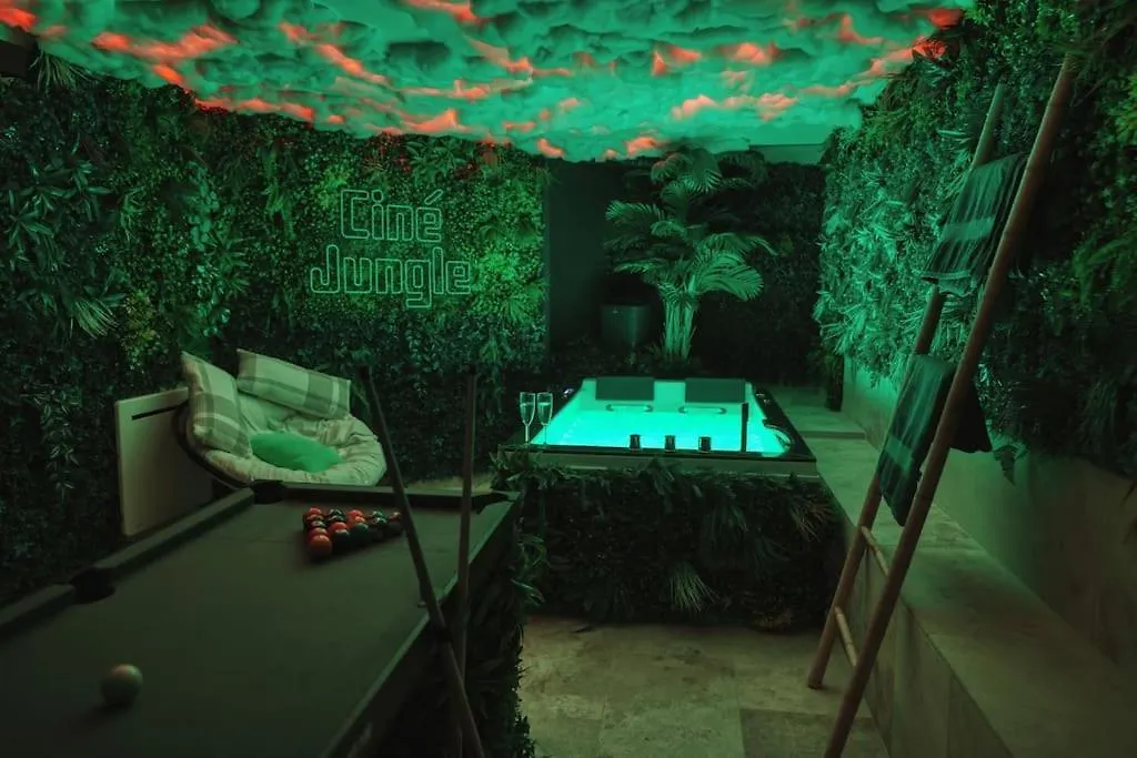 Cine Jungle Duplex Balneo Apartment Roanne France