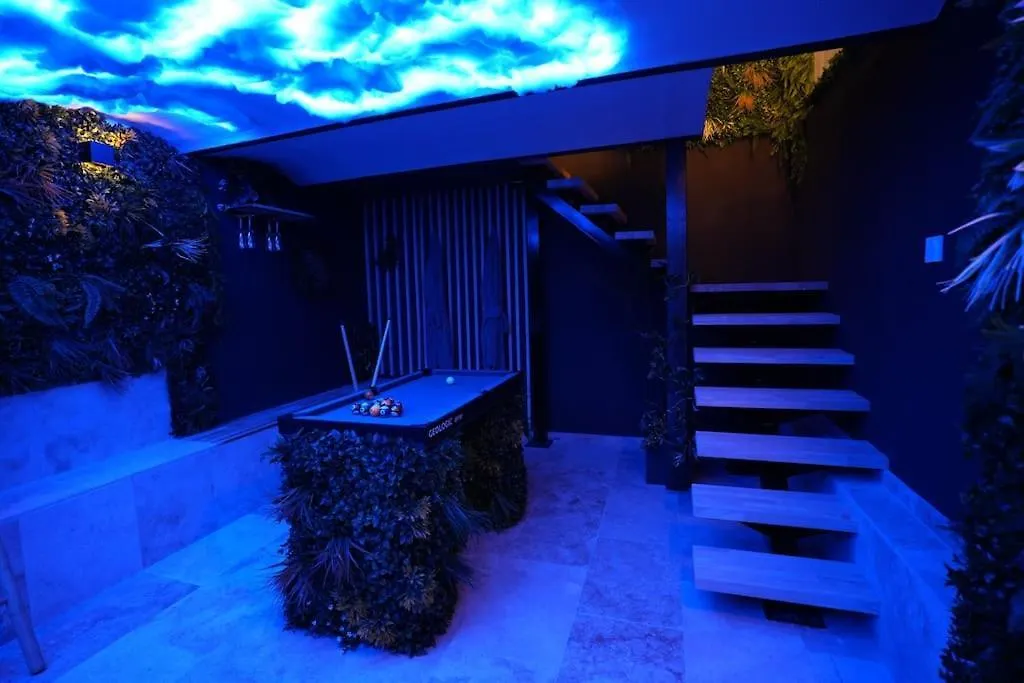 Cine Jungle Duplex Balneo Apartment Roanne 0*,