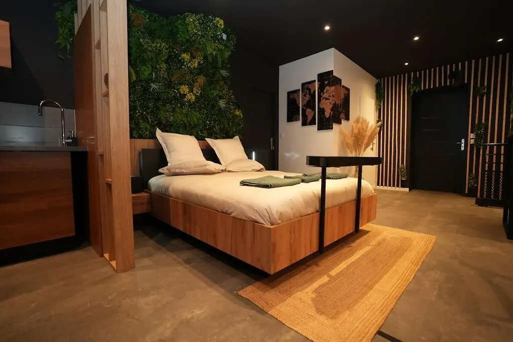 Cine Jungle Duplex Balneo Apartment Roanne