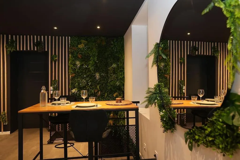 Cine Jungle Duplex Balneo Apartment Roanne