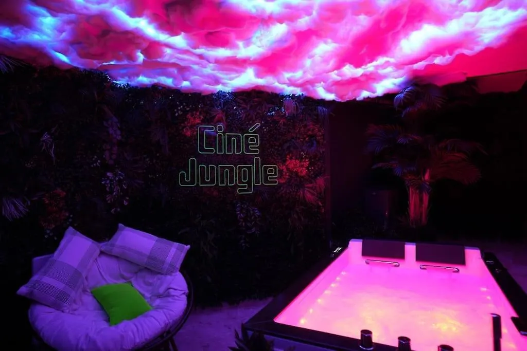 Cine Jungle Duplex Balneo Apartment Roanne 0*,  France