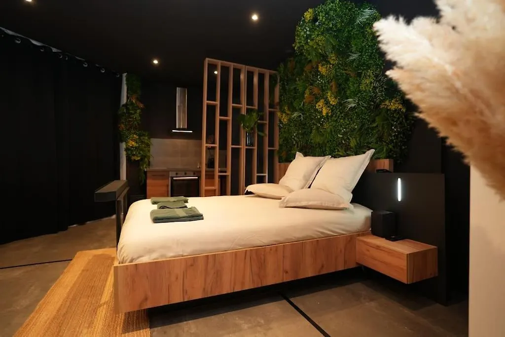 Cine Jungle Duplex Balneo Apartment Roanne