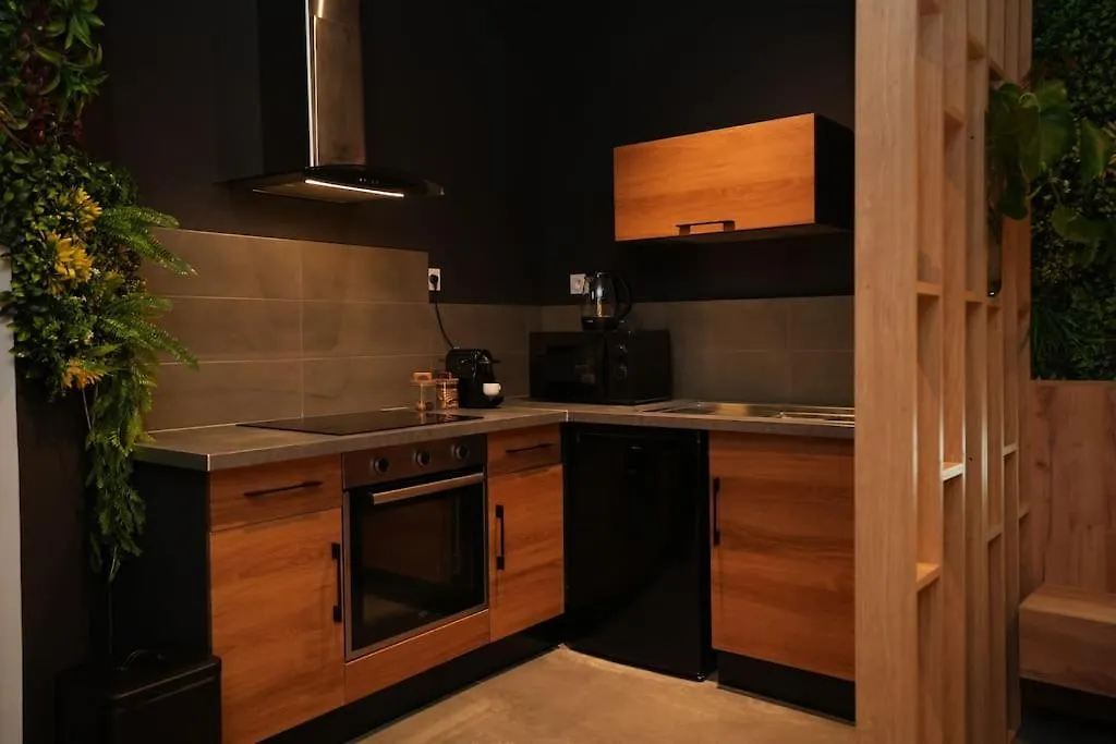 Cine Jungle Duplex Balneo Apartment Roanne