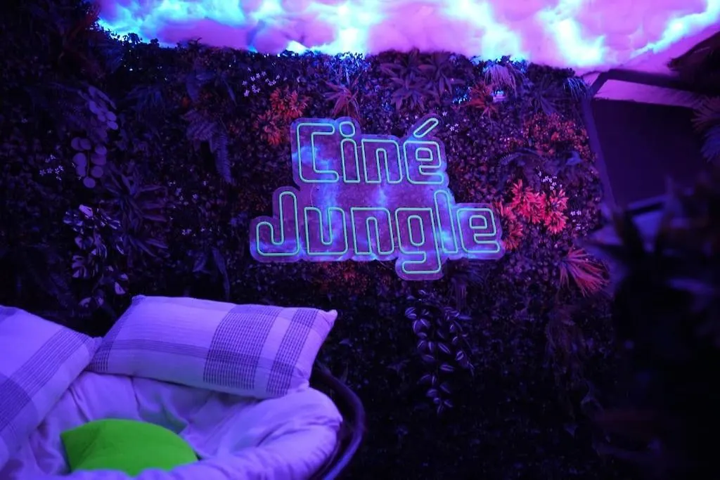 Cine Jungle Duplex Balneo Apartment Roanne France
