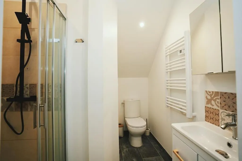 Cine Jungle Duplex Balneo Apartment Roanne 0*,